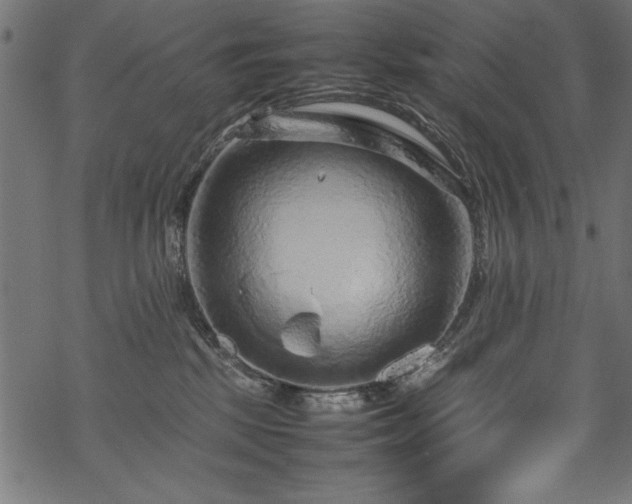 X0000070210281200605301410