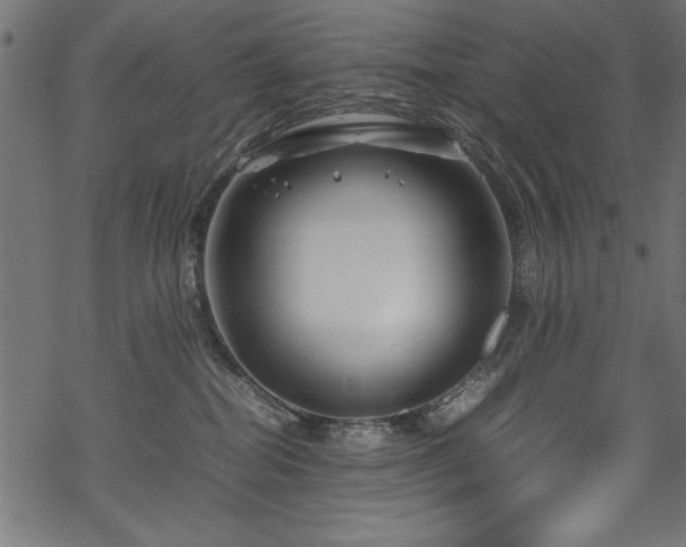 X0000070210282200605301410