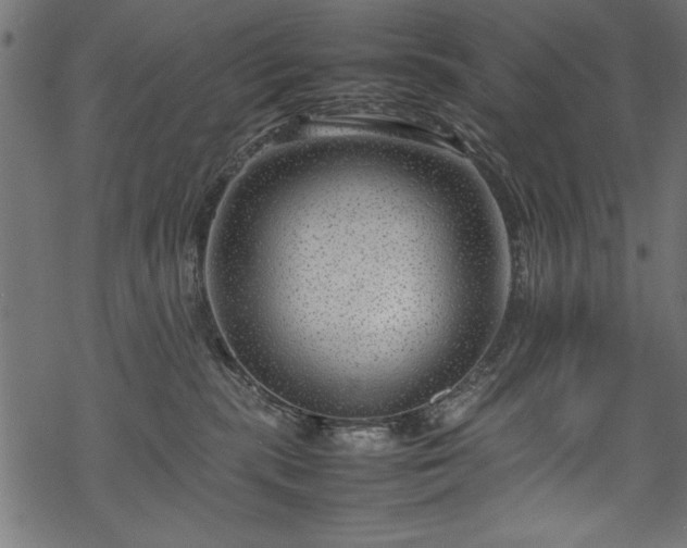 X0000070210283200605301410