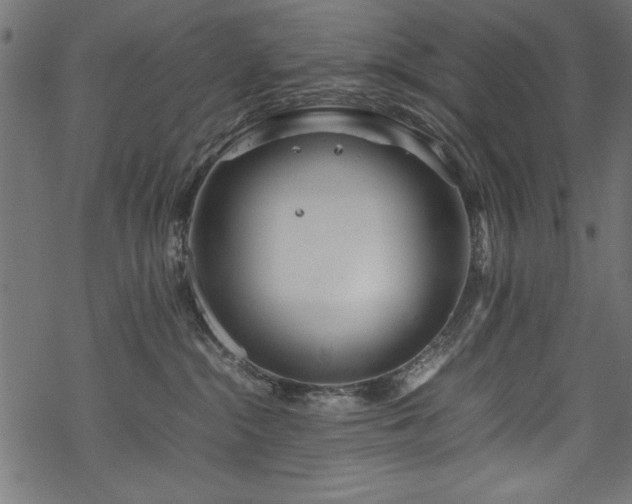 X0000070210284200605301410