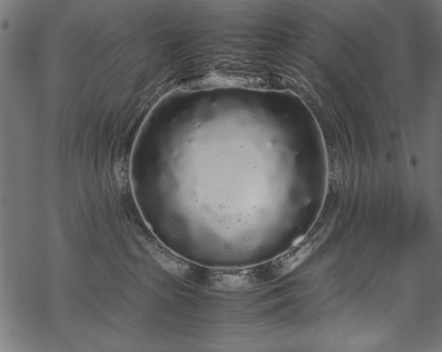 X0000070210285200605301410