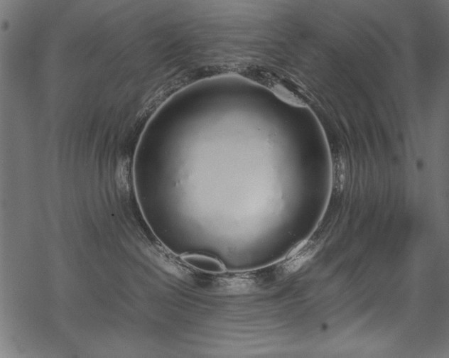 X0000070210286200605301410