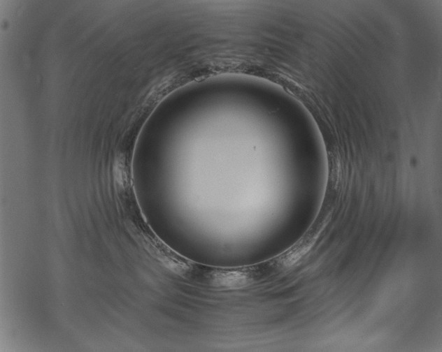 X0000070210287200605301410