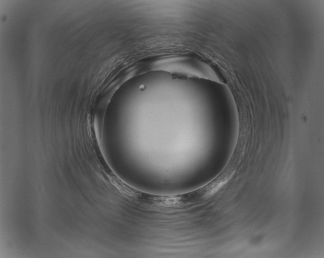 X0000070210288200605301410