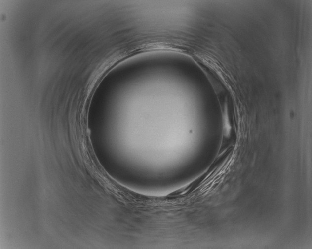 X0000070210289200605301409