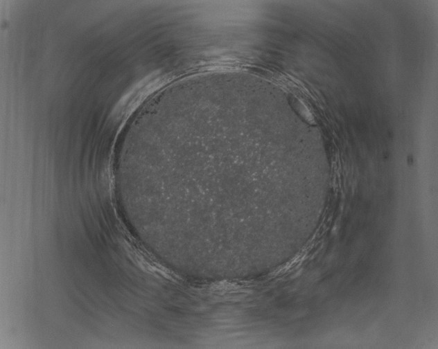 X0000070210290200605301409