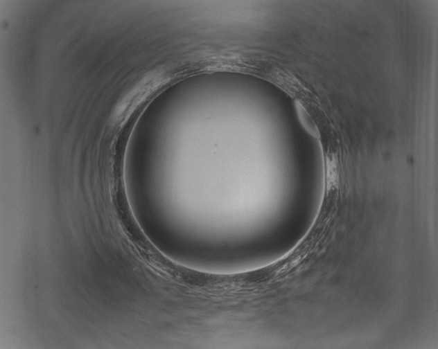 X0000070210291200605301409