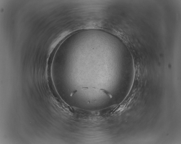 X0000070210292200605301409