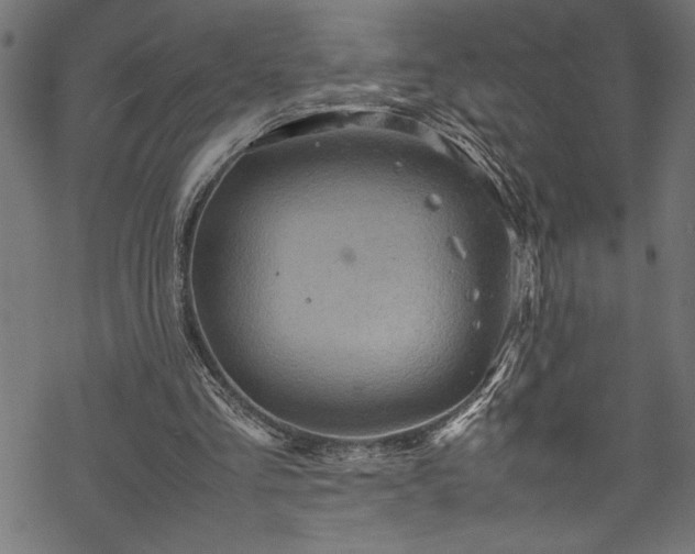 X0000070210293200605301409