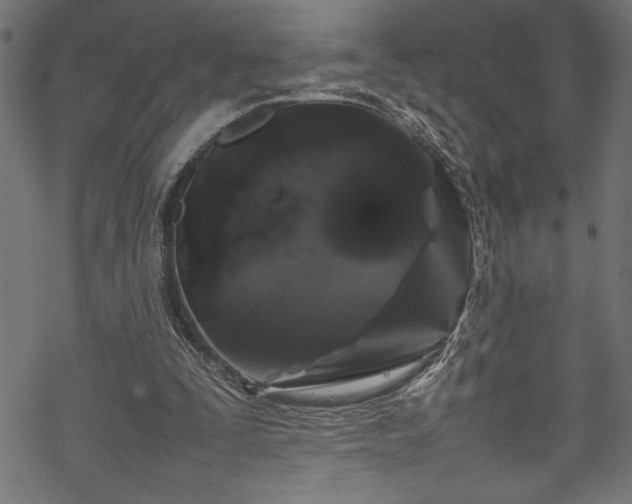 X0000070210295200605301409