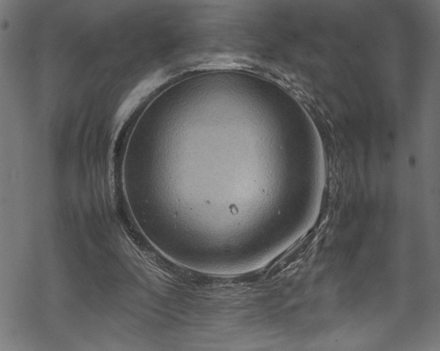 X0000070210296200605301409