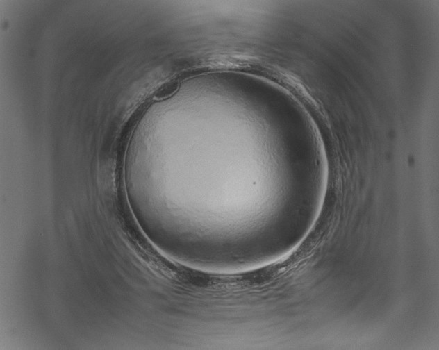 X0000070210299200605301409