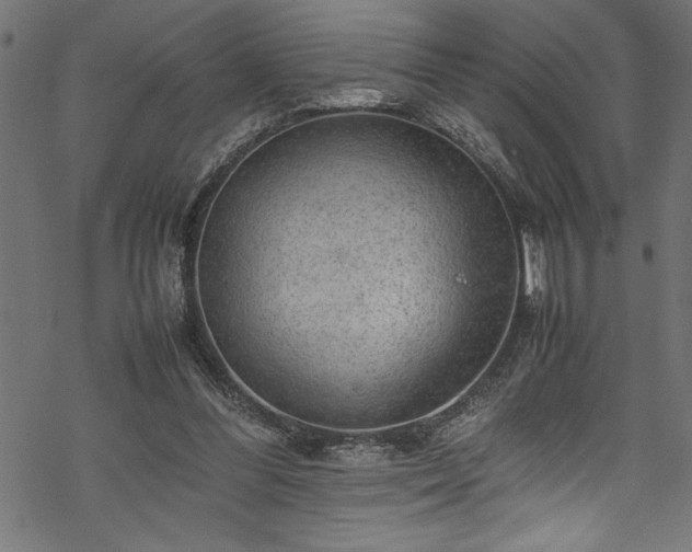 X0000070210300200605301409