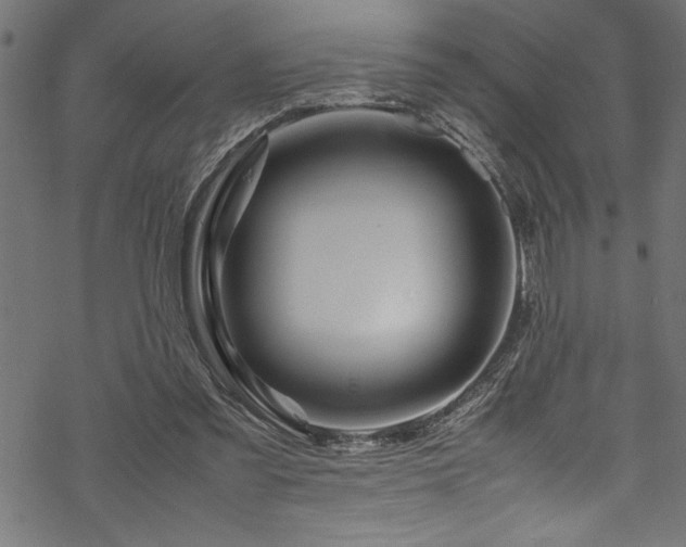 X0000070210301200605301409