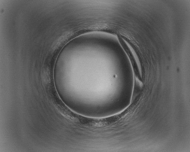 X0000070210303200605301409