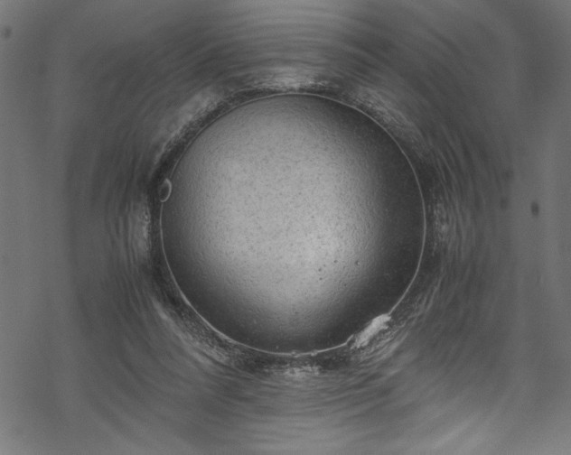 X0000070210304200605301409