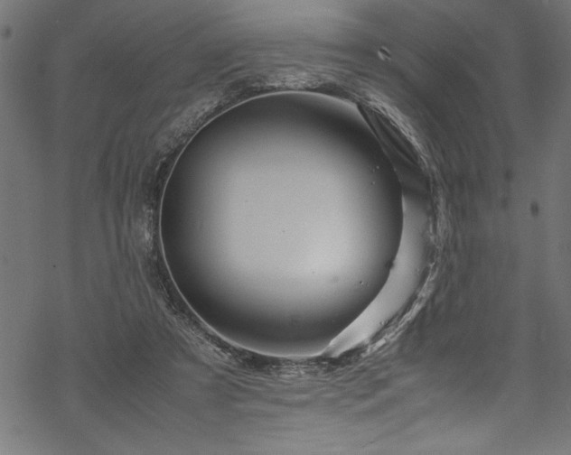 X0000070210305200605301409