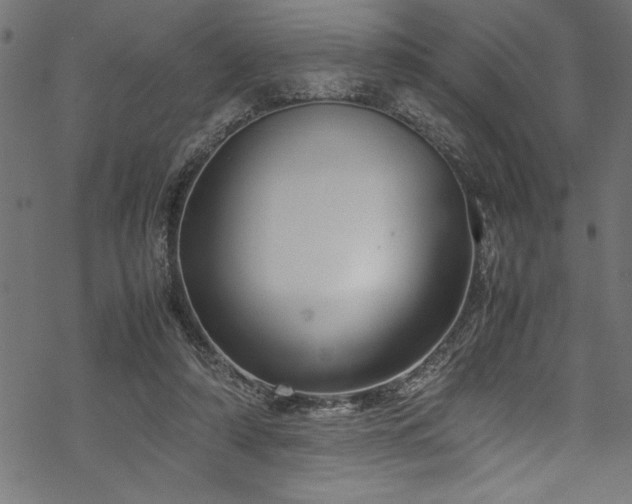 X0000070210306200605301409