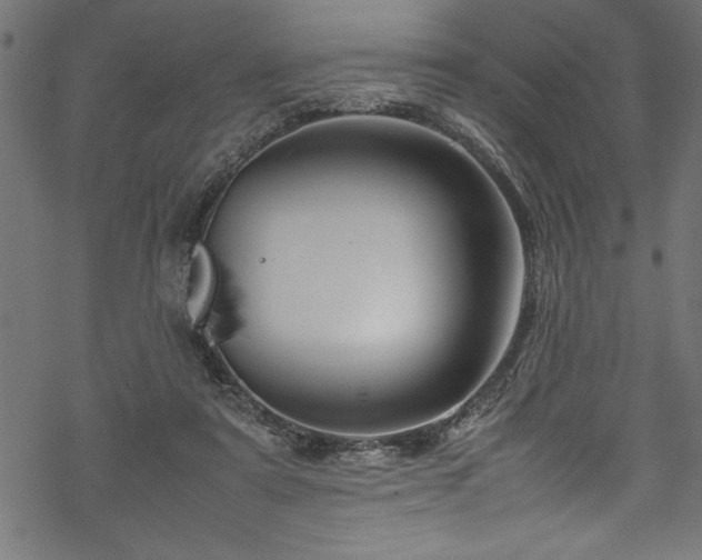 X0000070210307200605301409