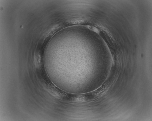 X0000070210308200605301409