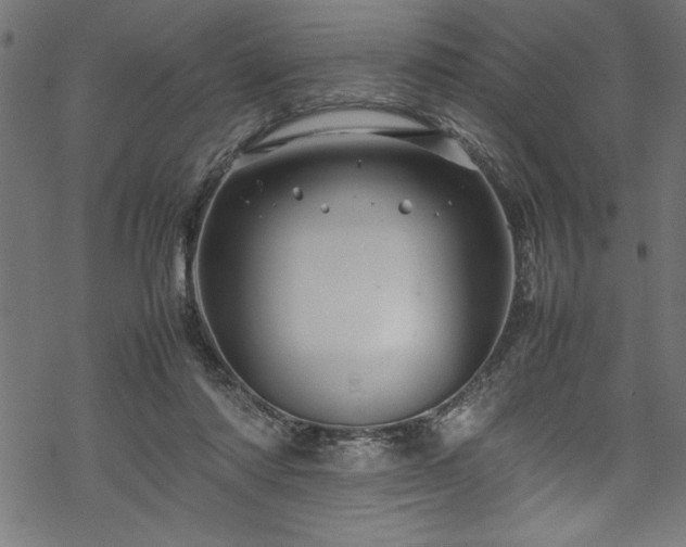 X0000070210310200605301409