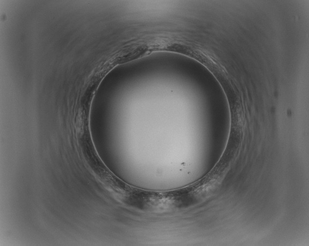 X0000070210311200605301409