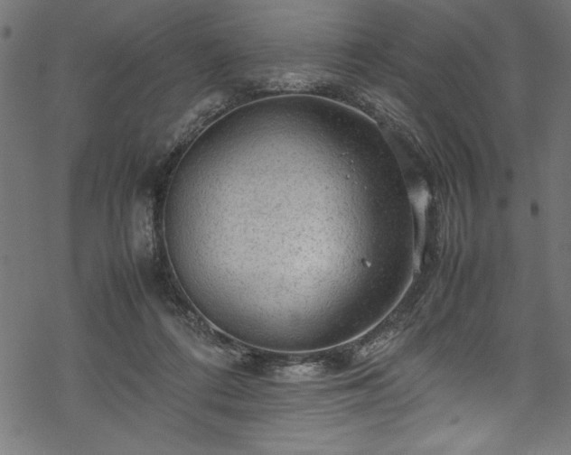 X0000070210312200605301409