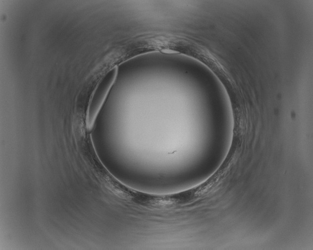 X0000070210313200605301409