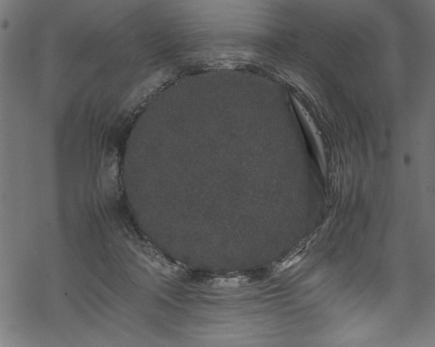 X0000070210314200605301409