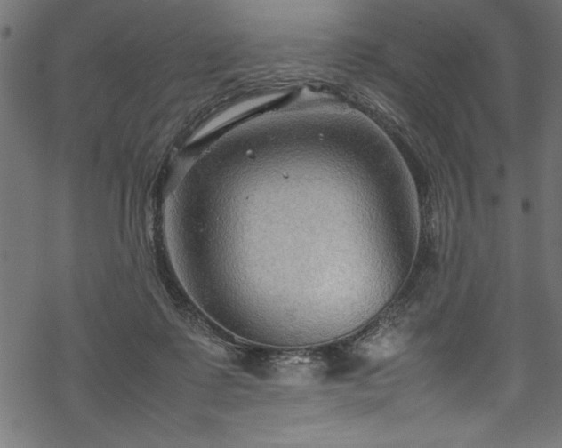 X0000070210315200605301409