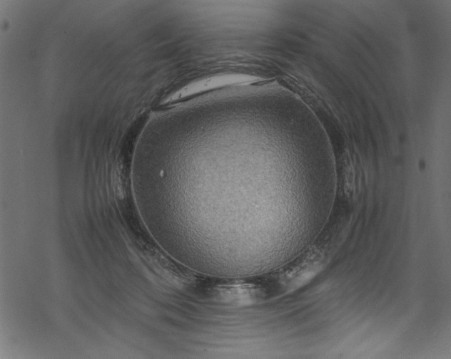 X0000070210316200605301409