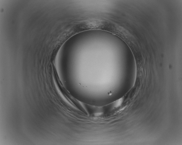 X0000070210317200605301409