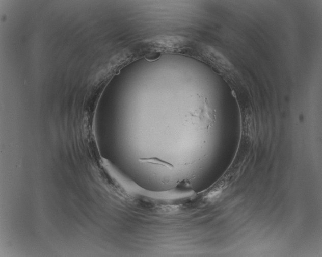 X0000070210318200605301409