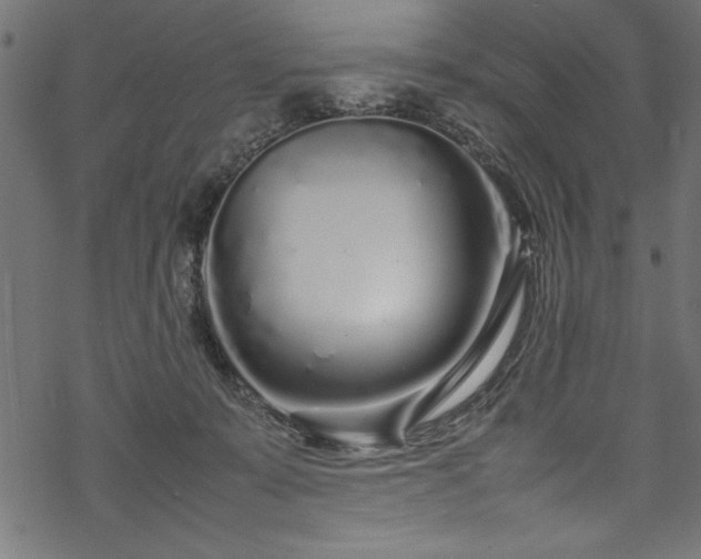 X0000070210319200605301409