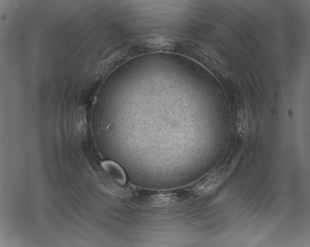 X0000070210320200605301409