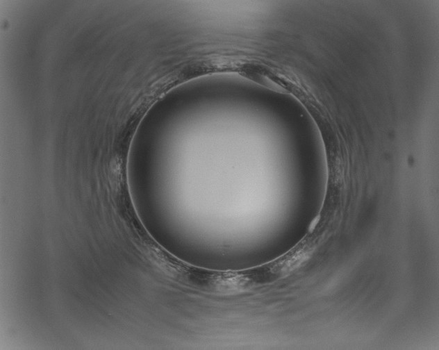 X0000070210321200605301409