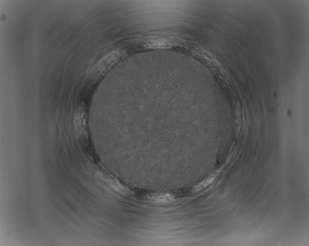 X0000070210322200605301409