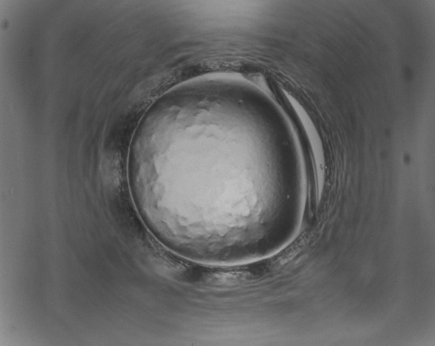 X0000070210323200605301409