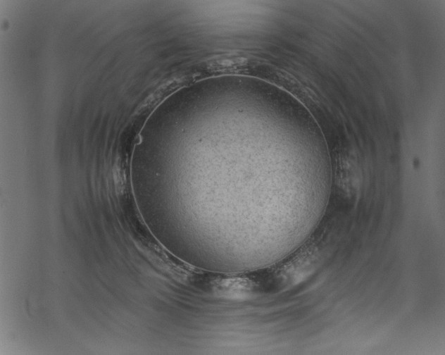 X0000070210324200605301409