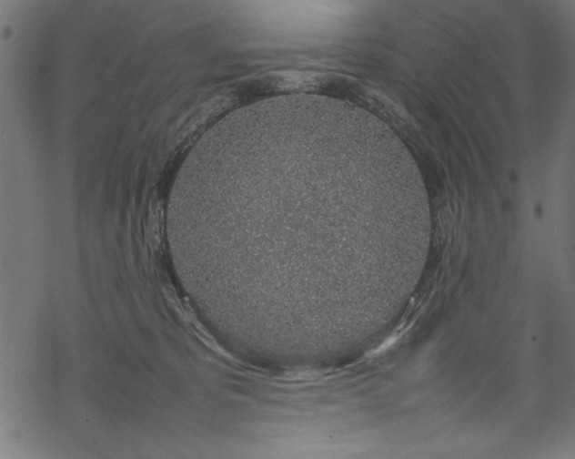 X0000070210325200605301409