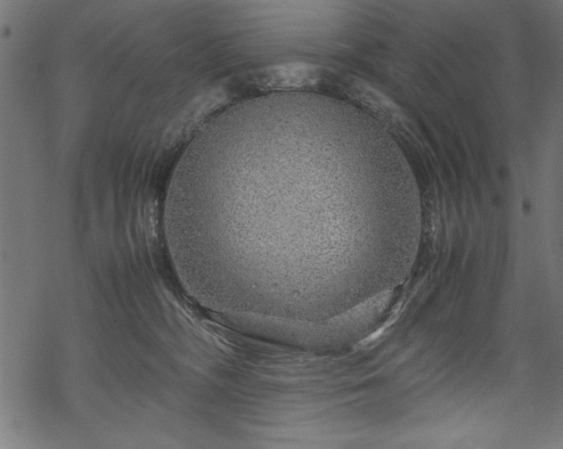 X0000070210326200605301409