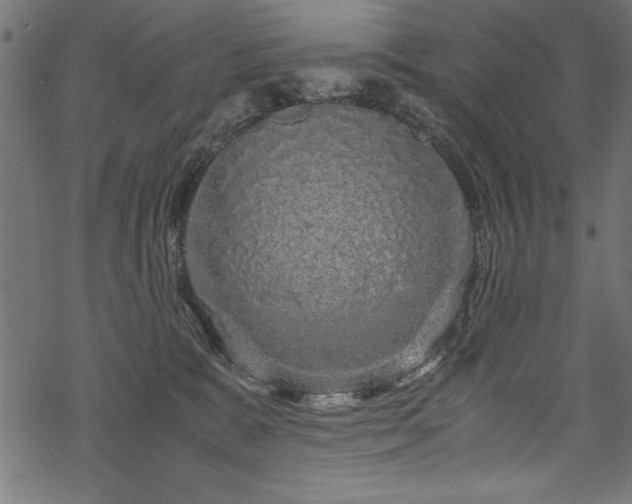 X0000070210327200605301409