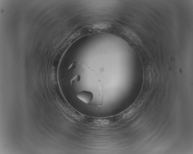 X0000070210328200605301409