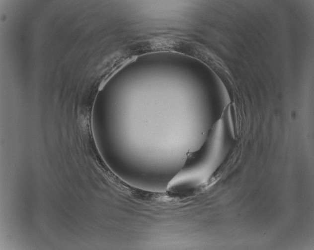 X0000070210329200605301409