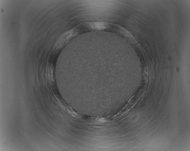 X0000070210330200605301409