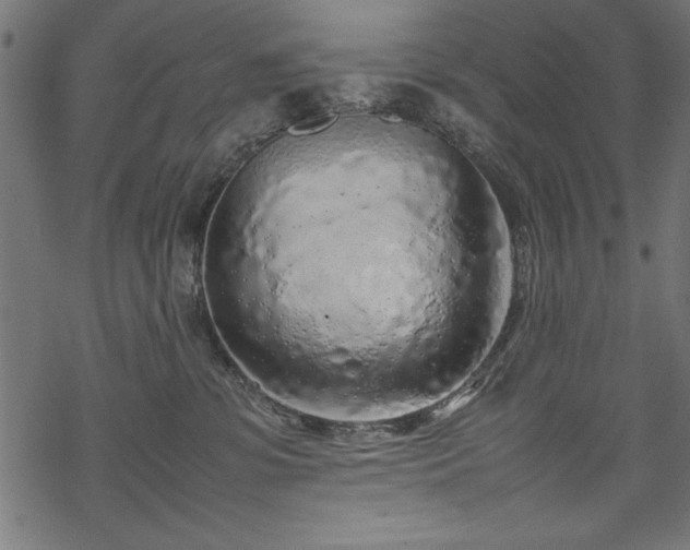 X0000070210331200605301409