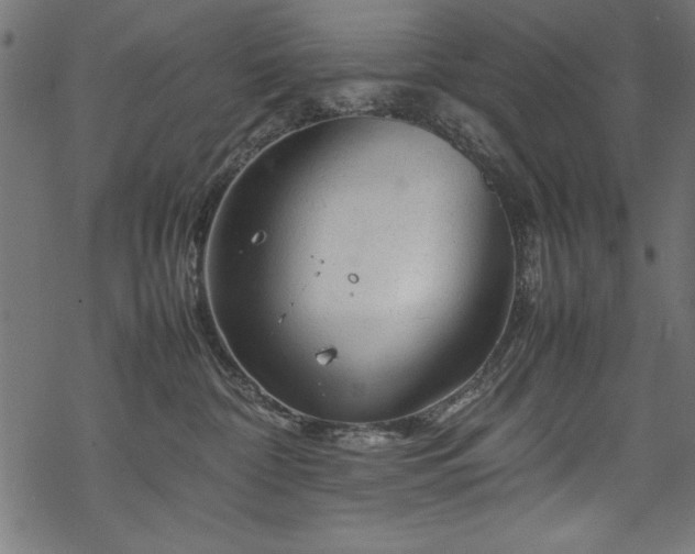 X0000070210332200605301408