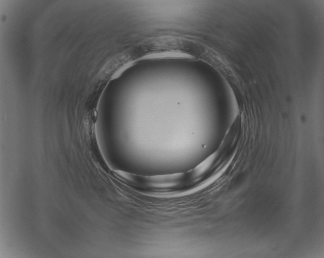 X0000070210333200605301408