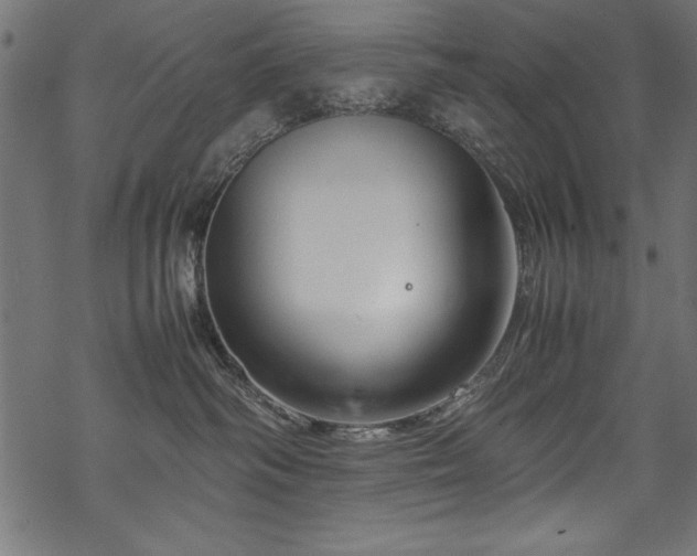 X0000070210334200605301408