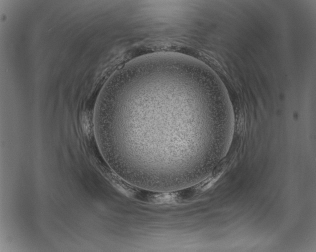 X0000070210335200605301408